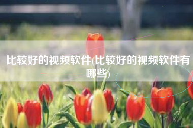 比较好的视频软件(比较好的视频软件有哪些)