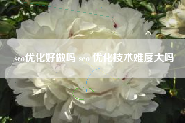 seo优化好做吗 seo 优化技术难度大吗