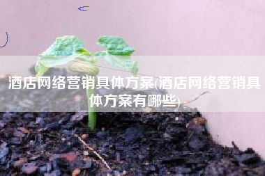 酒店网络营销具体方案(酒店网络营销具体方案有哪些)