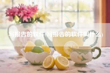 写报告的软件(写报告的软件叫什么)