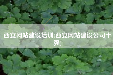 西安网站建设培训(西安网站建设公司十强)
