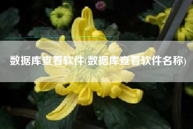 数据库查看软件(数据库查看软件名称)