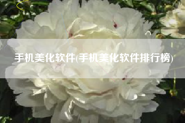 手机美化软件(手机美化软件排行榜)