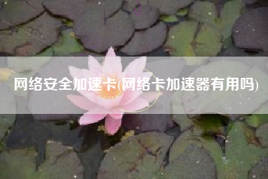 网络安全加速卡(网络卡加速器有用吗)