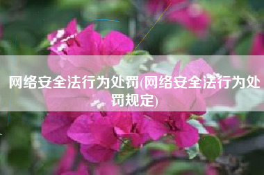 网络安全法行为处罚(网络安全法行为处罚规定)