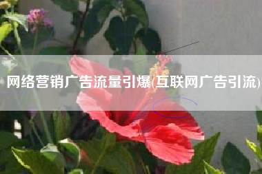 网络营销广告流量引爆(互联网广告引流)