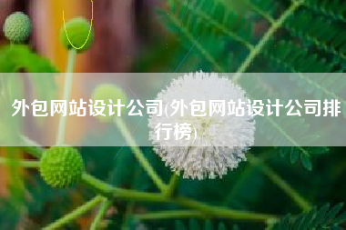 外包网站设计公司(外包网站设计公司排行榜)