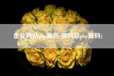 企业网站php源码(微网站php源码)