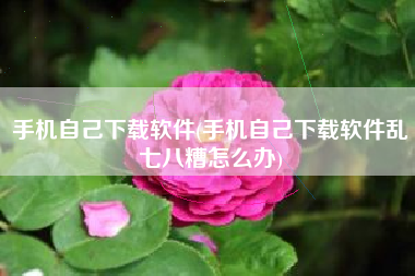 手机自己下载软件(手机自己下载软件乱七八糟怎么办)
