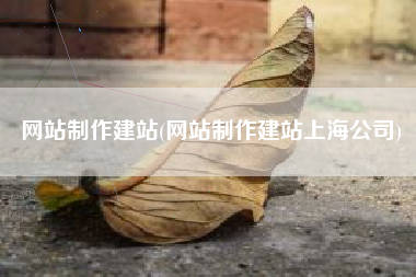 网站制作建站(网站制作建站上海公司)