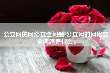 公安网的网络安全问题(公安网的网络安全问题是什么)