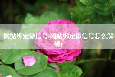 网站绑定微信号(网站绑定微信号怎么解绑)