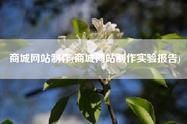商城网站制作(商城网站制作实验报告)