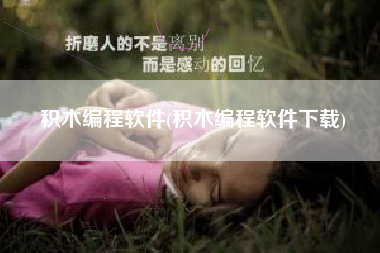积木编程软件(积木编程软件下载)