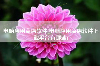 电脑应用商店软件(电脑应用商店软件下载平台有哪些)