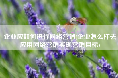 企业应如何进行网络营销(企业怎么样去应用网络营销实现营销目标)