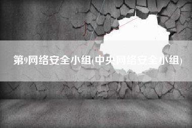 第9网络安全小组(中央网络安全小组)
