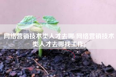 网络营销技术类人才去哪(网络营销技术类人才去哪找工作)