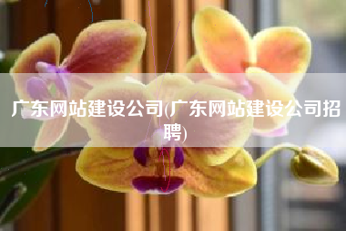广东网站建设公司(广东网站建设公司招聘)