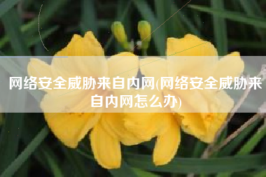 网络安全威胁来自内网(网络安全威胁来自内网怎么办)
