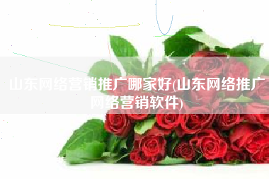 山东网络营销推广哪家好(山东网络推广网络营销软件)