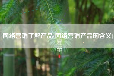 网络营销了解产品(网络营销产品的含义)
