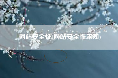 网站安全性(网站安全性未知)