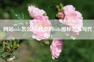 网站title怎么写(网页的title图标怎么写代码?)