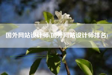 国外网站设计师(国外网站设计师排名)