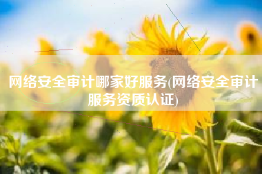 网络安全审计哪家好服务(网络安全审计服务资质认证)