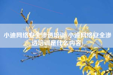 小迪网络安全渗透培训(小迪网络安全渗透培训是什么内容)