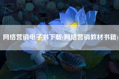 网络营销电子书下载(网络营销教材书籍)