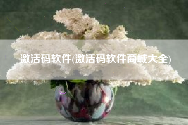 激活码软件(激活码软件商城大全)