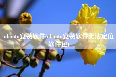 ubuntu安装软件(ubuntu安装软件无法定位软件包)