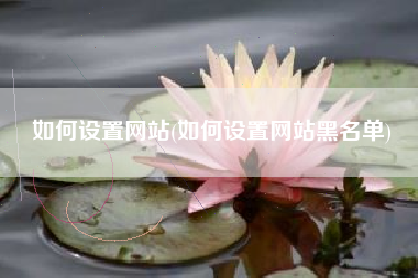 如何设置网站(如何设置网站黑名单)