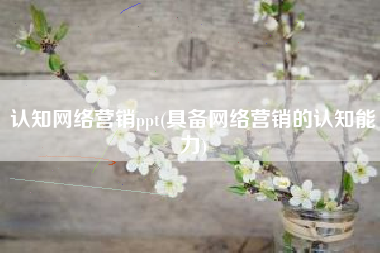 认知网络营销ppt(具备网络营销的认知能力)