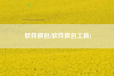 软件抓包(软件抓包工具)