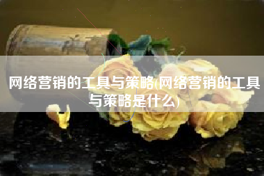 网络营销的工具与策略(网络营销的工具与策略是什么)