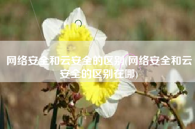 网络安全和云安全的区别(网络安全和云安全的区别在哪)