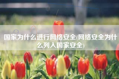 国家为什么进行网络安全(网络安全为什么列入国家安全)