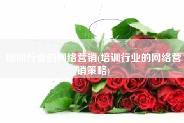 培训行业的网络营销(培训行业的网络营销策略)