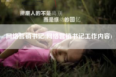 网络营销书记(网络营销书记工作内容)
