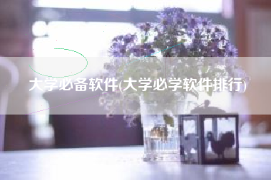大学必备软件(大学必学软件排行)