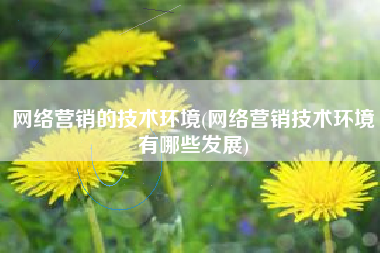 网络营销的技术环境(网络营销技术环境有哪些发展)