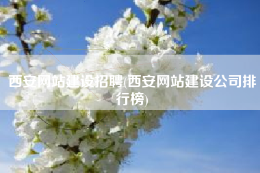 西安网站建设招聘(西安网站建设公司排行榜)