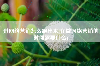 进网络营销怎么跑出来(在做网络营销的时候需要什么)