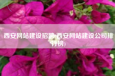 西安网站建设招聘(西安网站建设公司排行榜)