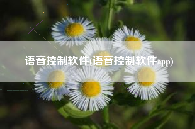 语音控制软件(语音控制软件app)