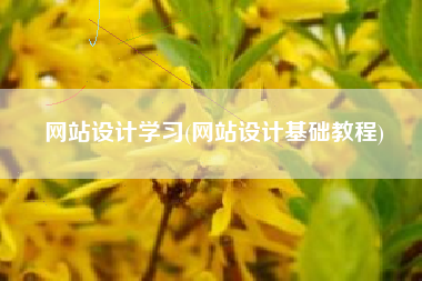 网站设计学习(网站设计基础教程)