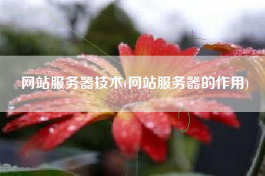 网站服务器技术(网站服务器的作用)